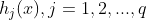 h_{j}(x),j=1,2,...,q