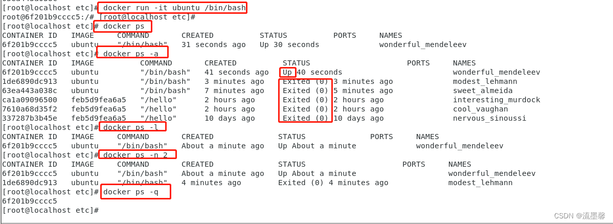 [外链图片转存失败,源站可能有防盗链机制,建议将图片保存下来直接上传(img-C1Z1hqrR-1656296269794)(assets/Docker/image-20220530165232693.png)]