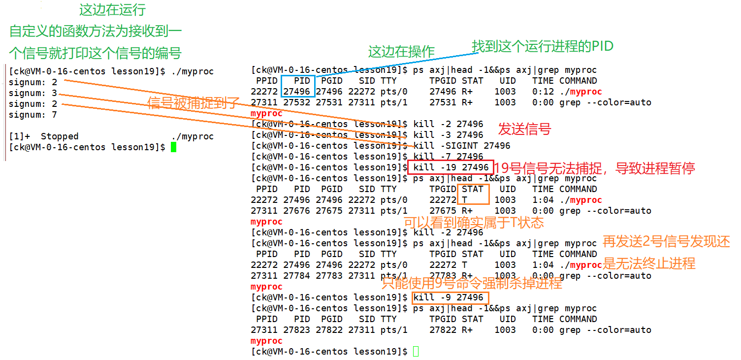 image-20220727154628271