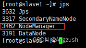 slave1服务器jps显示