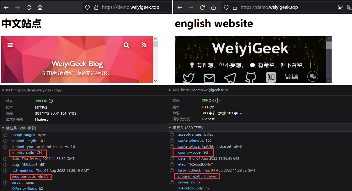 WeiyiGeek.GeoIP2处理不同国家的请求