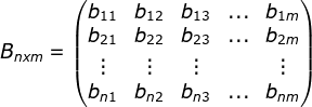 B_{nxm}=\begin{pmatrix} b_{11} & b_{12} & b_{13} & ... &b_{1m} \\ b_{21}&b_{22} & b_{23} & ...& b_{2m}\\ \vdots &\vdots & \vdots & & \vdots \\ b_{n1}& b_{n2} &b_{n3} & ... & b_{nm} \end{pmatrix}