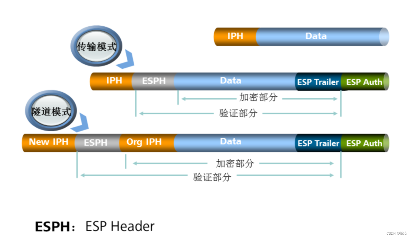 [外链图片转存失败,源站可能有防盗链机制,建议将图片保存下来直接上传(img-C0oRjjOl-1660101838492)(assets/image-20220805161142382.png)]