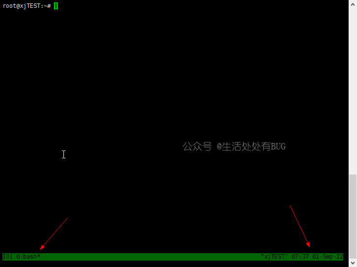 Tmux-demo-image (1)