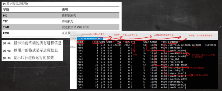 image-20220903113431492