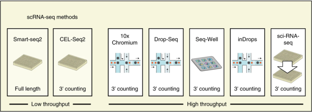 (Ref: Ding et al, Nature Biotechnology, 2020)