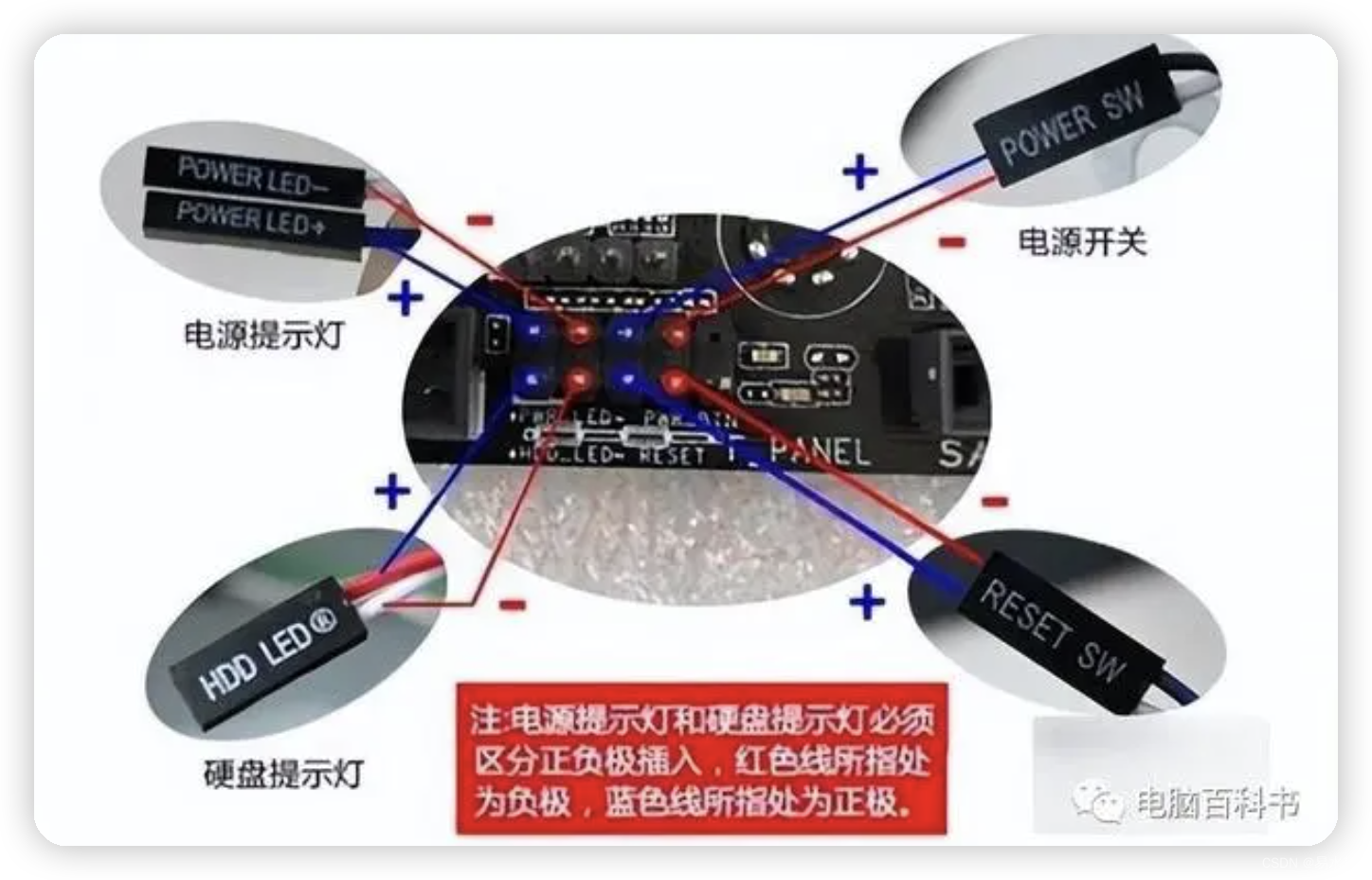 图片来源于网络
