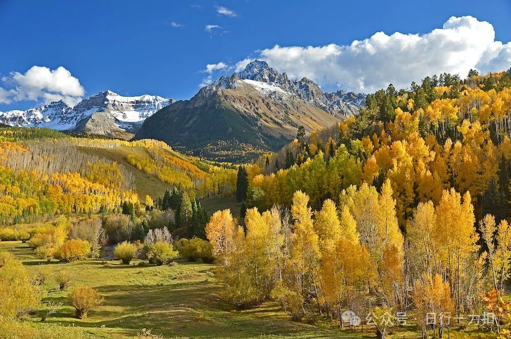 green and beige trees beside mountains