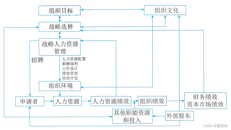 战略性人力资源管理过程