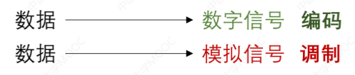 image-20240313114453761