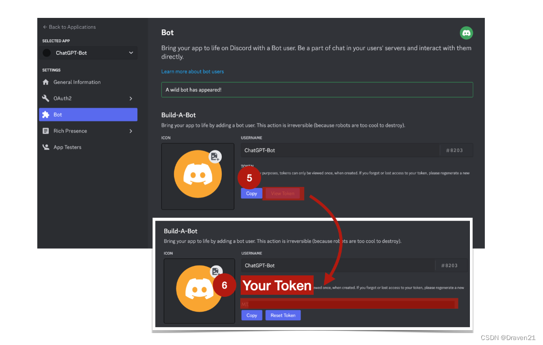 Get OpenAI Token Step 5 and Step 6