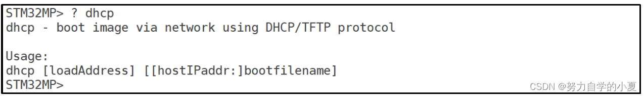 dhcp命令使用查询