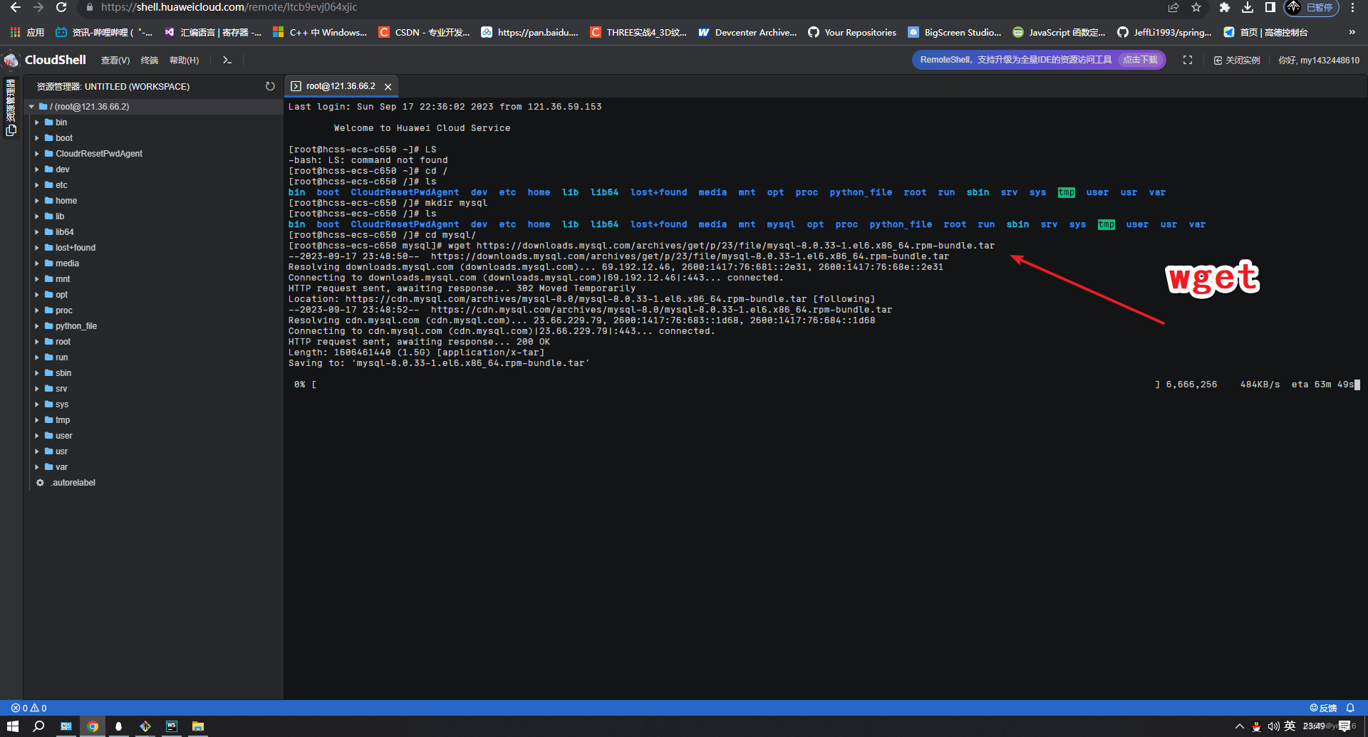 wget-mysql