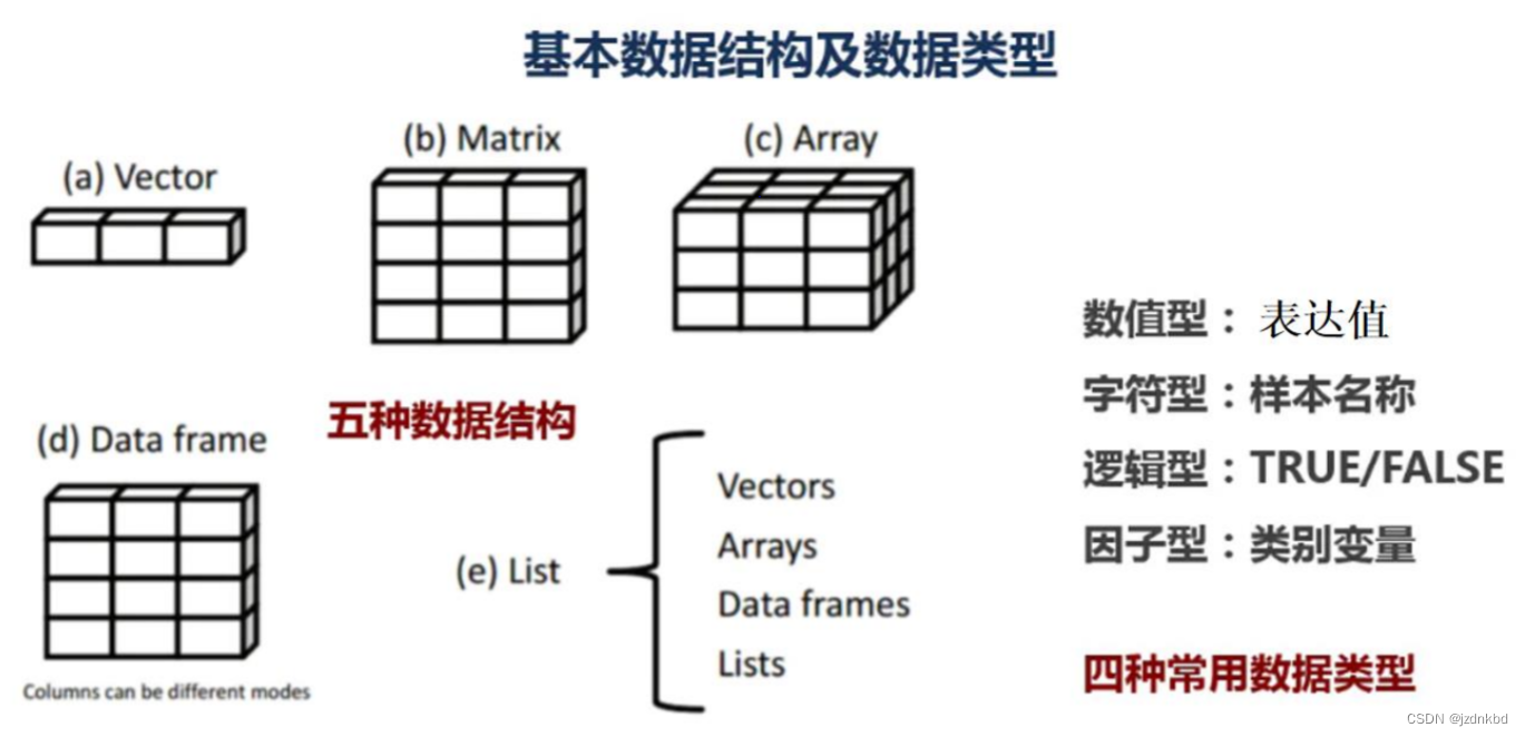 Data structure in R