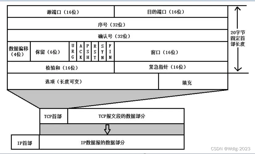 TCP报文结构