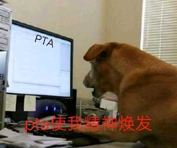 PTA使我精神焕发.jpg