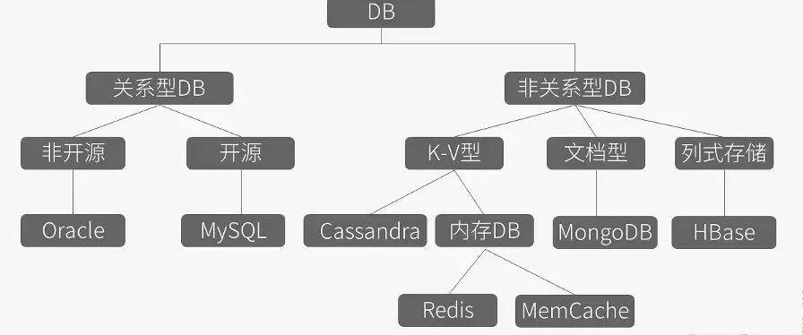 一图详解DB的分支产品