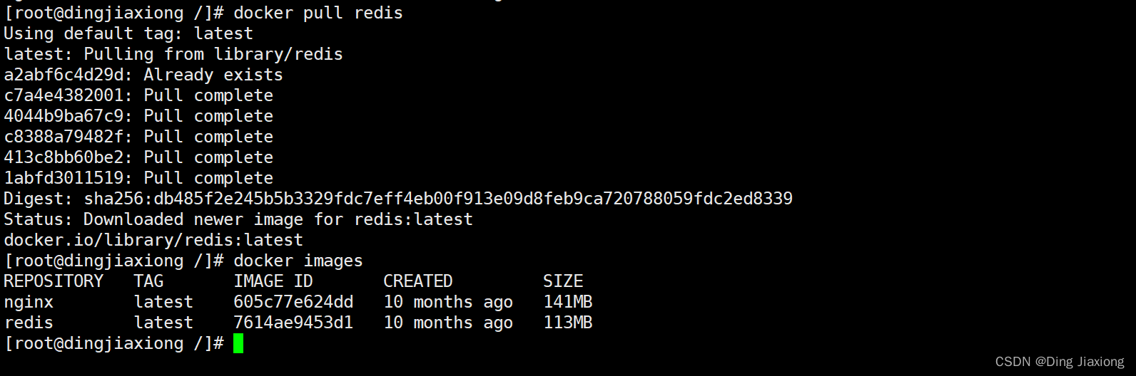 在这里插入图片描述