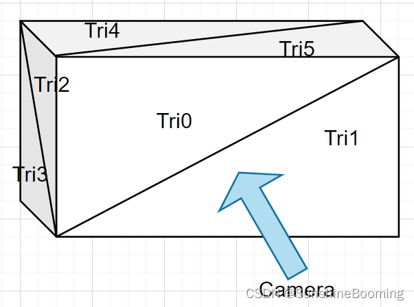 CameraView