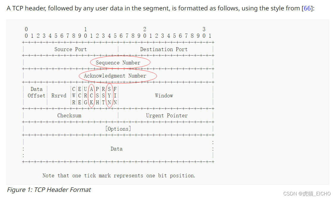 TCP Header Format