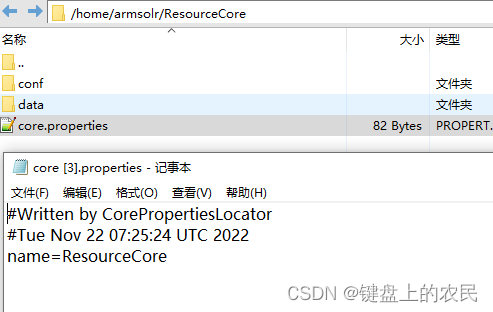 这是我的core