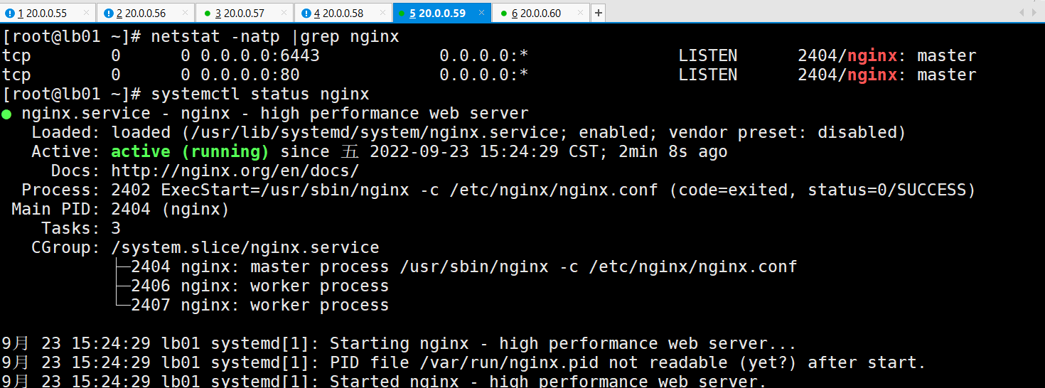 image-20220923152647264