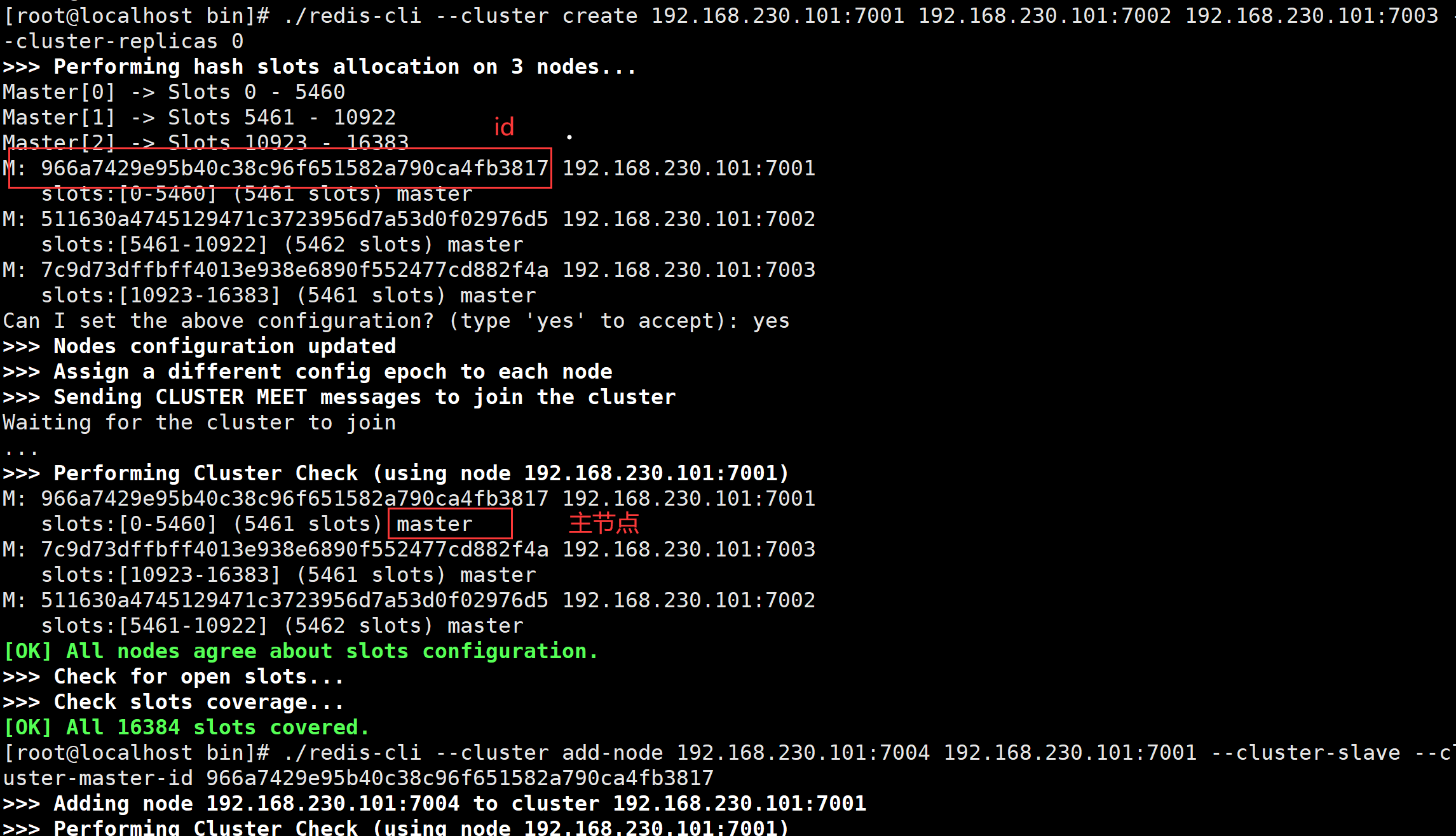 image-20221113204724179