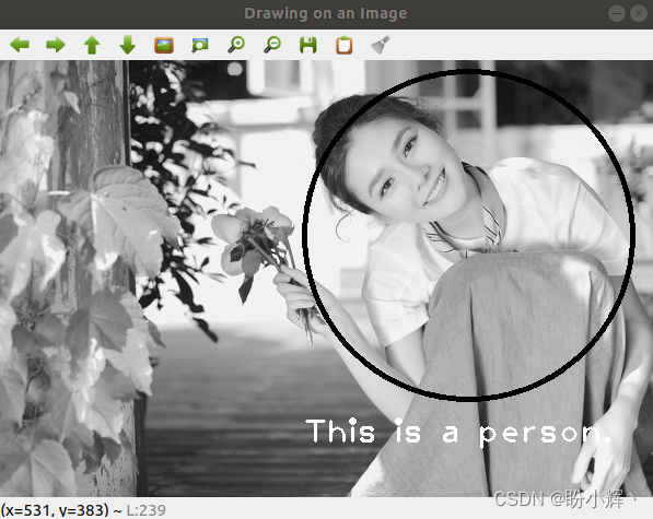 QT运行OpenCV程序